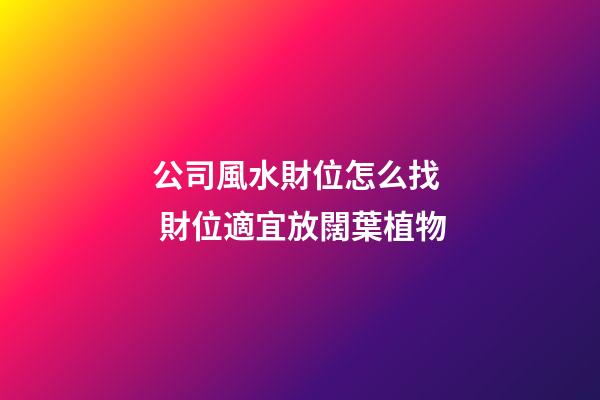 公司風水財位怎么找  財位適宜放闊葉植物